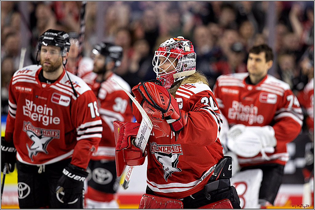 PENNY DEL - Viertelfinale;  Koelner Haie - Adler Mannheim; Koeln, 17.03.2023